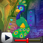 G4K Exquisite Peacock Escape Game Walkthrough